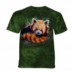 Red Panda  - The Mountain Junior