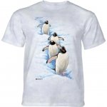Gentoo Penguins - The Mountain