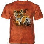 Playful Tiger Cub - The Mountain