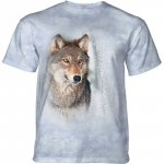 Grey Wolf in the Birches - The Mountain