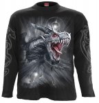 Dragon's Cry - Longsleeve Spiral