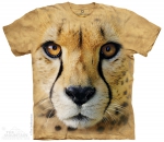 Big Face Cheetah - Gepard - The Mountain