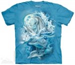 Bergsma Dolphins - The Mountain