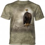 A Visitor to the Meadow Eagle - The Mountain