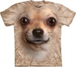 Chihuahua Face - The Mountain