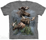 Moose Collage - The Mountain