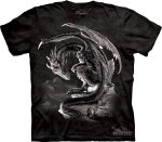 Bravery Misplaced - The Mountain