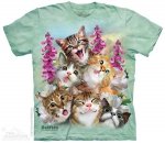 Kittens Selfie  - The Mountain