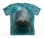 Big Face Manatee - The Mountain Junior