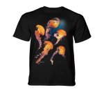 Pacific Nettle Jellyfish - The Mountain Junior