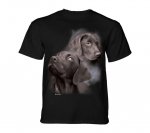 Black Labs - The Mountain - Junior