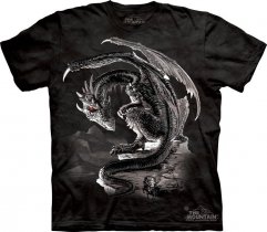 Bravery Misplaced - The Mountain