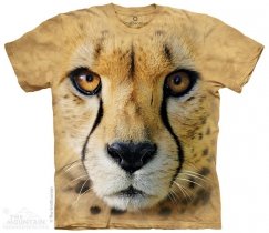 Big Face Cheetah - The Mountain