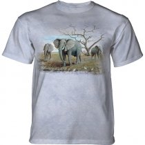 Three African Elephants - The Mountain