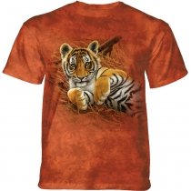 Playful Tiger Cub - The Mountain