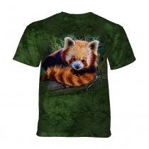Red Panda - The Mountain Junior
