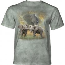 Mother's Watchful Gaze Elephant - The Mountain