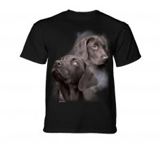 Black Labs - The Mountain - Junior