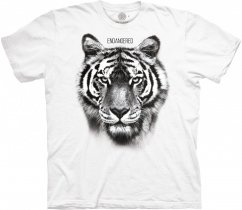 Tiger Endangered White Protect - The Mountain