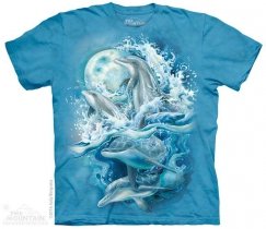 Bergsma Dolphins - The Mountain