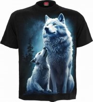Wolf Guardian - Spiral