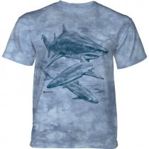 Monotone Sharks - The Mountain