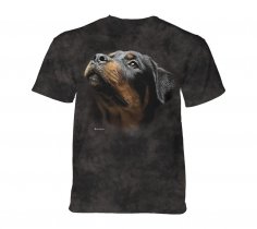 Angel Face Rottweiler - The Mountain - Junior