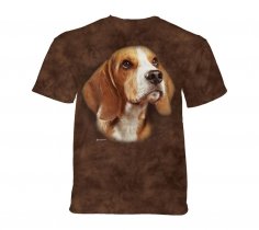 Beagle Portrait  - The Mountain - Junior