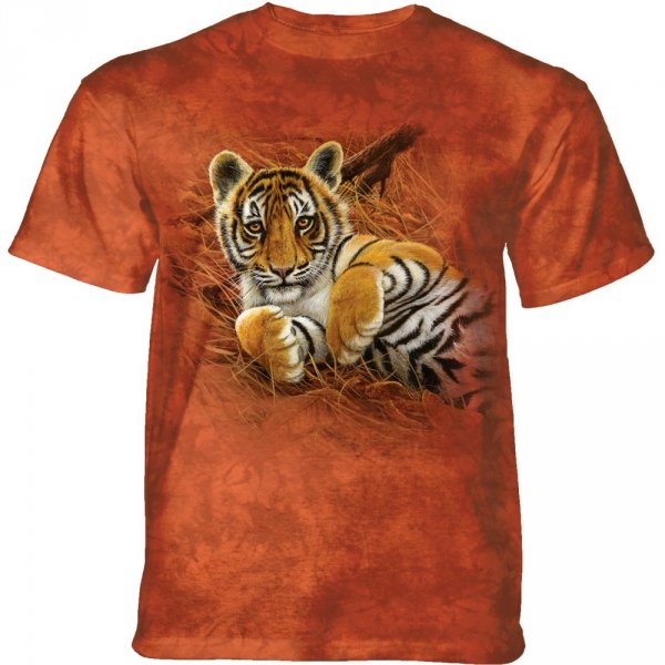 Playful Tiger Cub - The Mountain