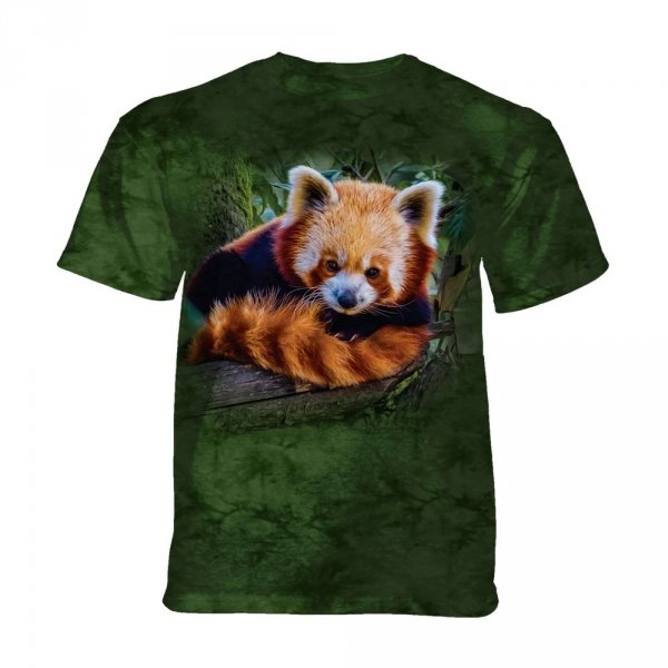 Red Panda  - The Mountain Junior