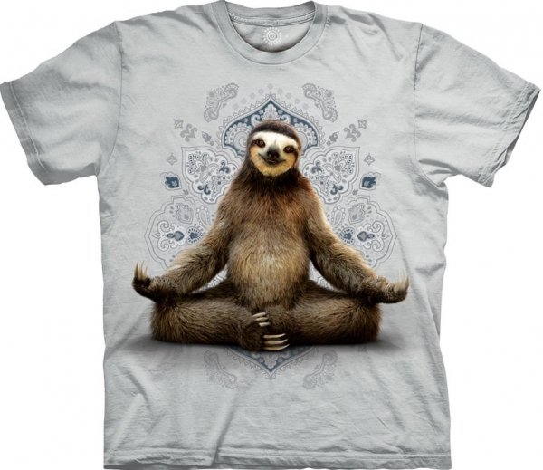 Vriksasana Sloth Yoga - The Mountain