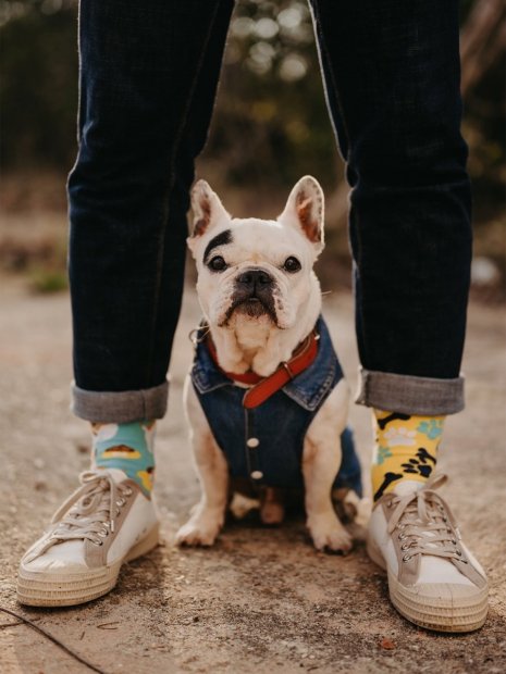 Šťastný pes - Ponožky Good Mood