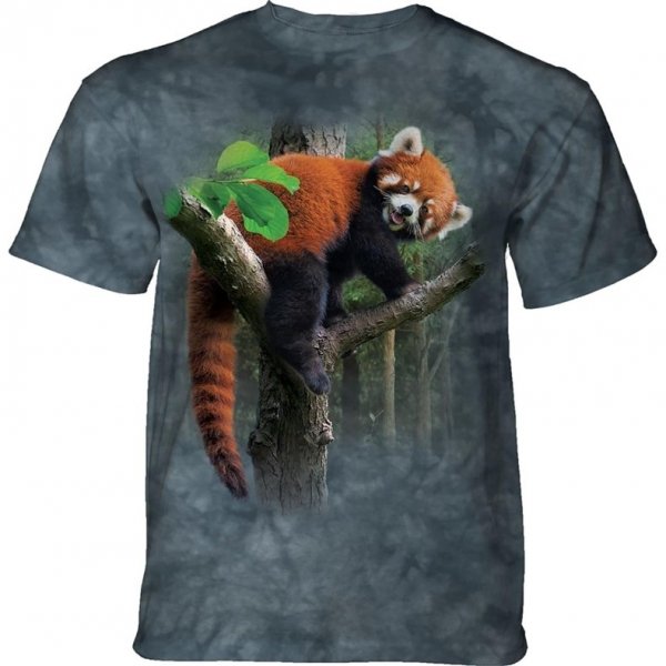 Red Panda Tree - The Mountain