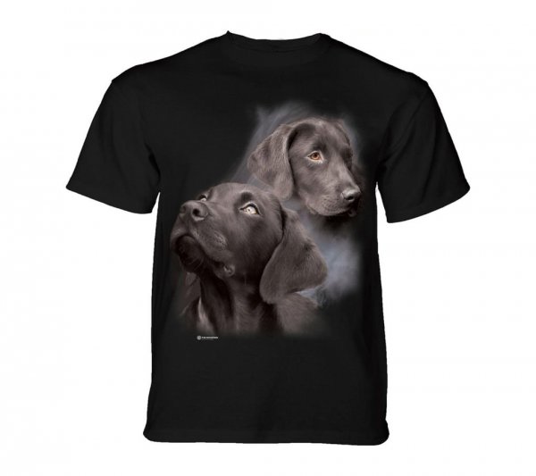 Black Labs - The Mountain - Junior