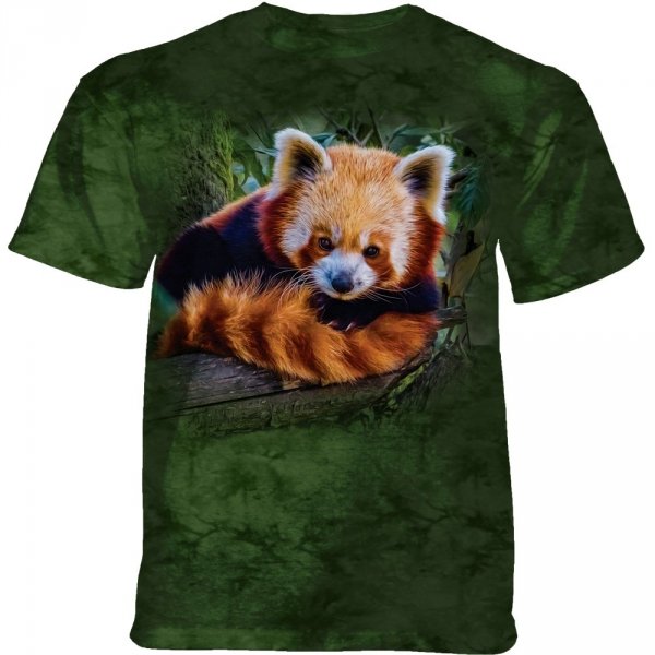 Red Panda - The Mountain