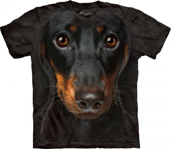 Dachshund Face - The Mountain