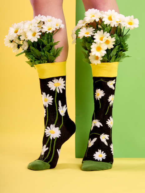 Daisies at Night - Socks Good Mood