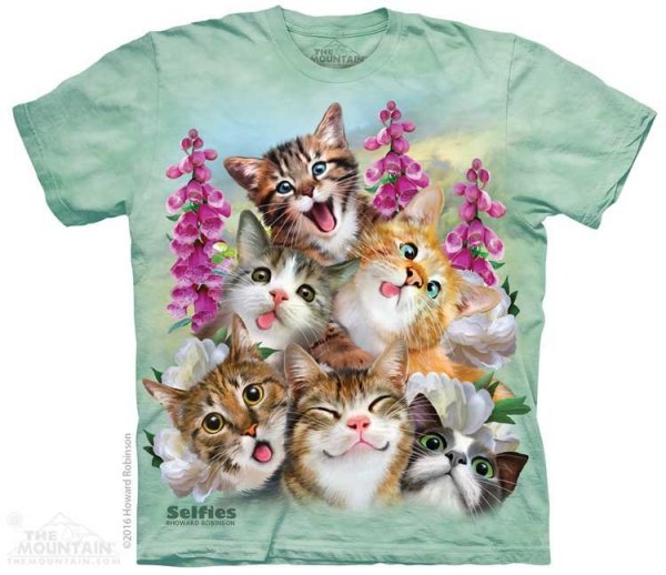 Kittens Selfie  - The Mountain