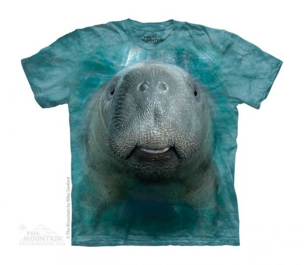 Big Face Manatee - The Mountain Junior