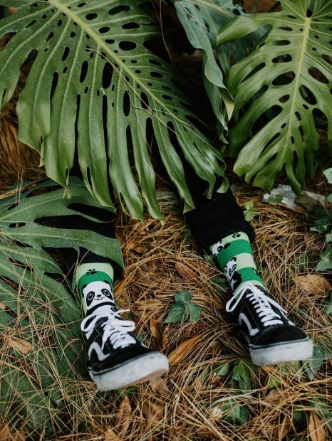 Panda &amp; Stripes - Socks Good Mood