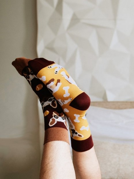 French Bulldog - Socks Good Mood