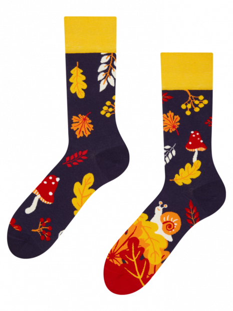 Autumn Snail - Socks Good Mood