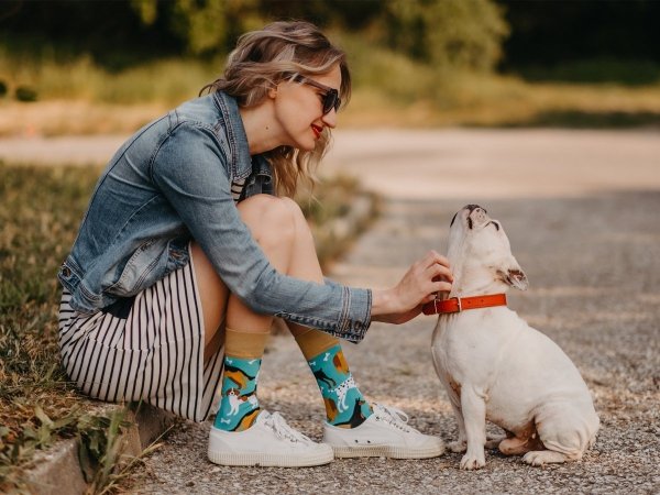 Dog Friends - Socks Good Mood