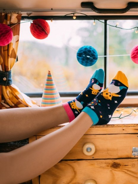 Party Hamster - Low Socks Good Mood