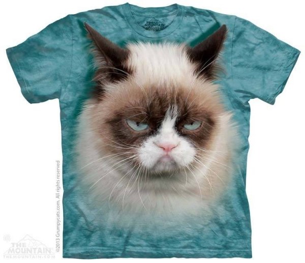 Grumpy Cat - The Mountain