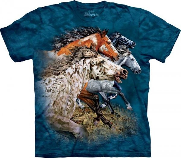 Find 13 Horses - The Mountain