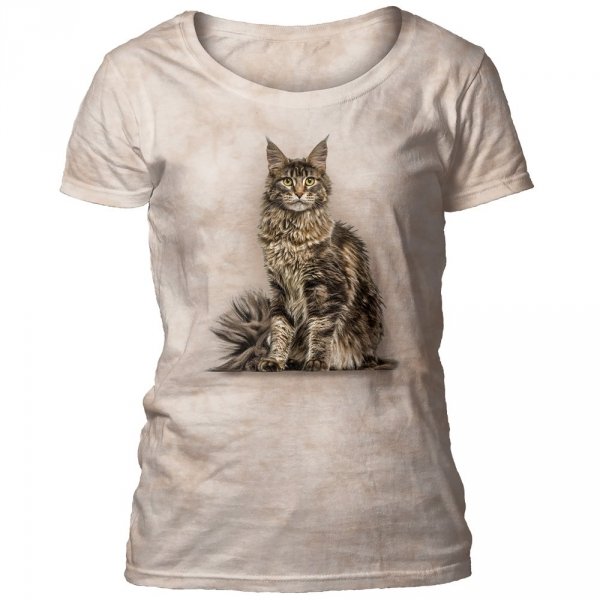 Maine Coon Cat - The Mountain Ladies