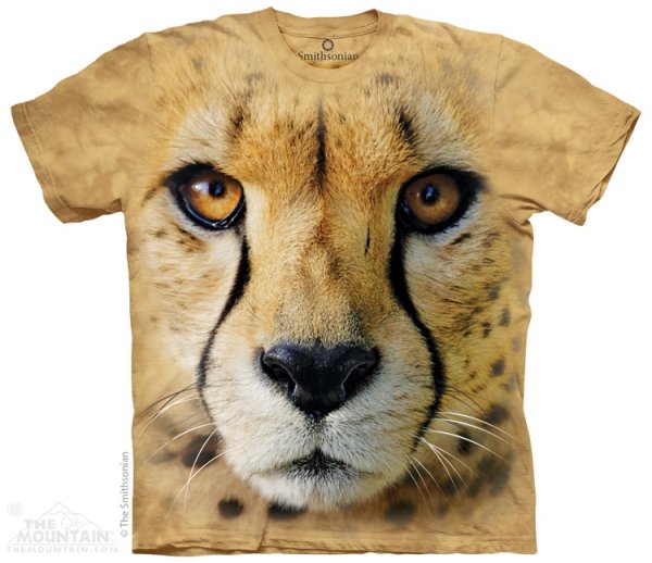 Big Face Cheetah - Gepard - The Mountain
