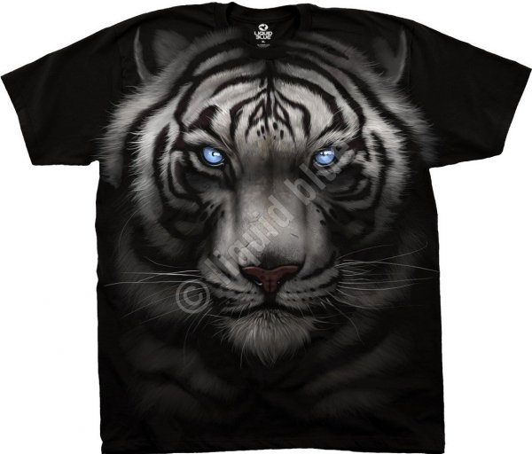 Majestic White Tiger - Liquid Blue