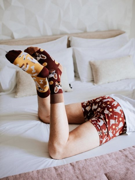 Francúzky Buldoček - Ponožky Good Mood